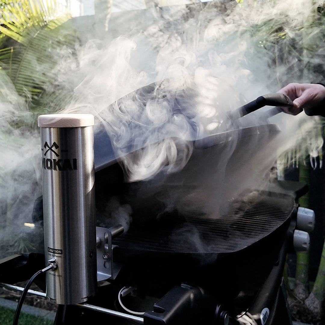 Smokai Smoke Generator Kit for Weber Q Series