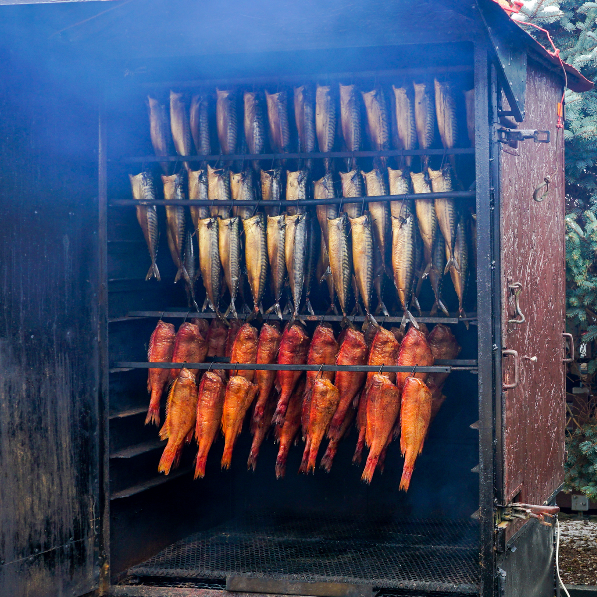 Smoke Generator for  Metal Smokehouses
